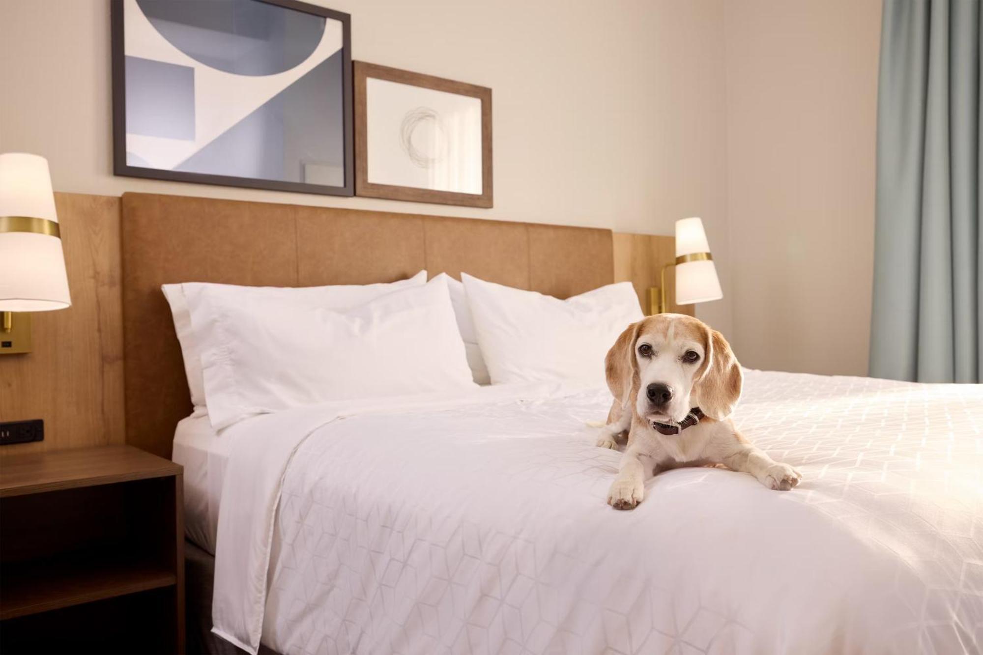 Staybridge Suites Omaha 80Th And Dodge By Ihg Exteriör bild
